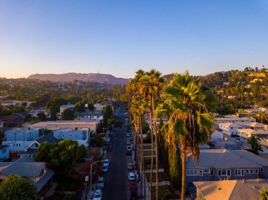 Palmiye ağaçları batımında Los Angeles'ta Hollywood yazısını ufukta ile Beverly Hills sokak.