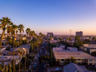 Palmiye ağaçları batımında Los Angeles'ta Hollywood yazısını ufukta ile Beverly Hills sokak.