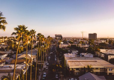 Palmiye ağaçları batımında Los Angeles'ta Hollywood yazısını ufukta ile Beverly Hills sokak.