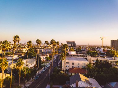 Palmiye ağaçları batımında Los Angeles'ta Hollywood yazısını ufukta ile Beverly Hills sokak.