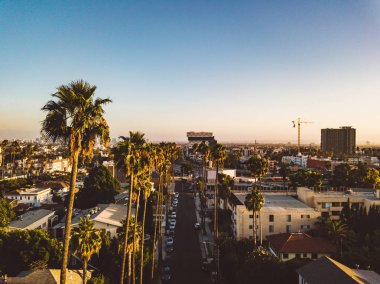 Palmiye ağaçları batımında Los Angeles'ta Hollywood yazısını ufukta ile Beverly Hills sokak.
