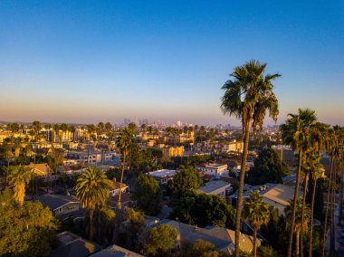Palmiye ağaçları batımında Los Angeles'ta Hollywood yazısını ufukta ile Beverly Hills sokak.