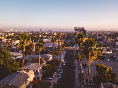 Palmiye ağaçları batımında Los Angeles'ta Hollywood yazısını ufukta ile Beverly Hills sokak.