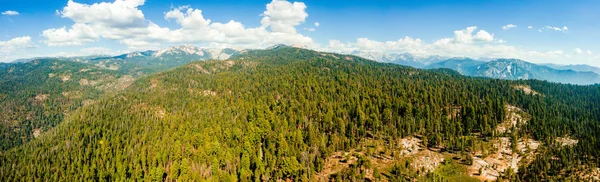 Paisaje Forestal Secuoya Salvaje Fotografiado Desde Dron Vista Aérea Los — Foto de Stock