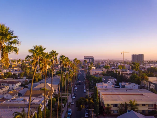 Beverly Hills Street Palm Trees Sunset Los Angeles Hollywood Sign — Stock Photo, Image