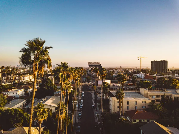 Beverly Hills Street Palm Trees Sunset Los Angeles Hollywood Sign — Stock Photo, Image