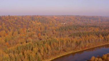 Portakal ağaçları ve nehir Sigulda, Letonya ile Altın Sonbahar ormanın güzel havadan görünümü.