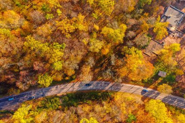 Sonbahar turuncu ormana yalnız yol. Altın Sonbahar yol. 