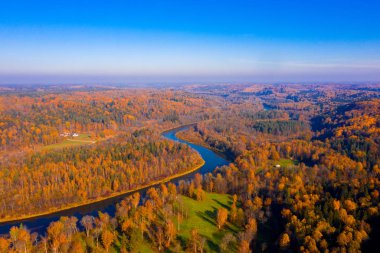Nehrin Gauja Letonya altın sonbahar mevsiminde havadan görünümü.  