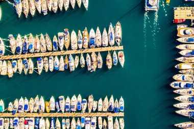 Egzotik palmiye ağaçları ve dağ vadilerinde yukarıda altın akşam ışık mavi gökyüzü ile gün batımında geniş açık deniz ve bulutlar yaz, Kanarya Adaları, İspanya ile şaşırtıcı tropikal manzara güzel manzara.