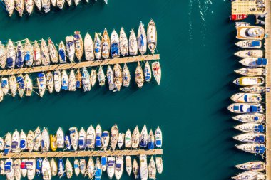 Egzotik palmiye ağaçları ve dağ vadilerinde yukarıda altın akşam ışık mavi gökyüzü ile gün batımında geniş açık deniz ve bulutlar yaz, Kanarya Adaları, İspanya ile şaşırtıcı tropikal manzara güzel manzara.
