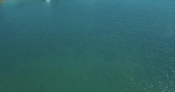Αεροφωτογραφία Όπερα Του Σίδνεϊ Από Ελικόπτερο Πάνω Από Τον Κόλπο — Αρχείο Βίντεο