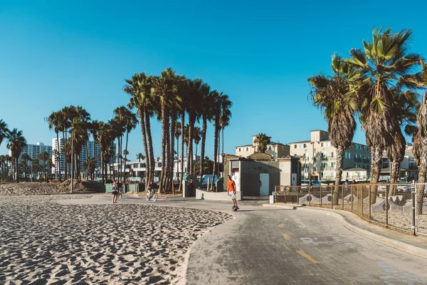 2018年8月10日 洛杉矶 乌萨威尼斯海滩的氛围 人们骑着一个轮子 自行车和滑板沿着海滩和棕榈树走 夏天精神 — 图库照片