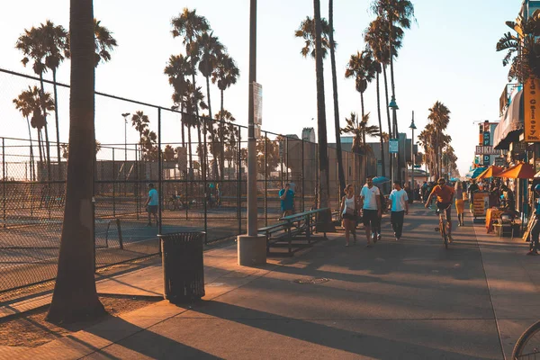 2018年8月10日 洛杉矶 乌萨威尼斯海滩的氛围 人们骑着一个轮子 自行车和滑板沿着海滩和棕榈树走 夏天精神 — 图库照片
