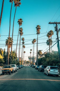 15 Temmuz 2018. Los Angeles, Amerika Birleşik Devletleri. Mavi gökyüzü ve Hollywood işareti bölgesinde yakınındaki La yolda yüksek avuç içi ile California güzel bir güneşli gün.