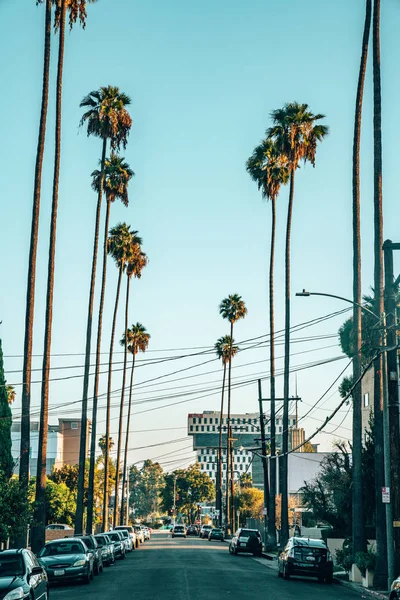 July 2018 Los Angeles Usa Beautiful Sunny Day California Blue — Stock Photo, Image