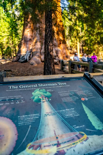 Mammutbaum Nationalpark Usa Juli 2018 Informationsschild Mammutbaum Nationalwald Mit Einem — Stockfoto