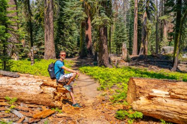 Yürüyüş yoluyla Yosemite Milli Parkı na Vadisi, şelale ve yarım kubbe yollar keşfetmek genç adam.