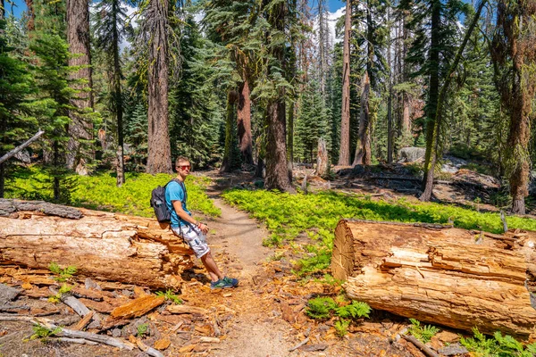 Юнак Піші Прогулянки Через Національним Парком Йосеміті Вивчення Долини Водоспад — стокове фото