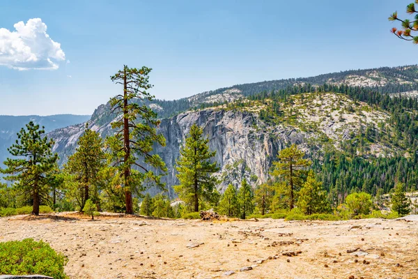 Parcul Național Yosemite Trasee Drumeții Forestiere — Fotografie, imagine de stoc