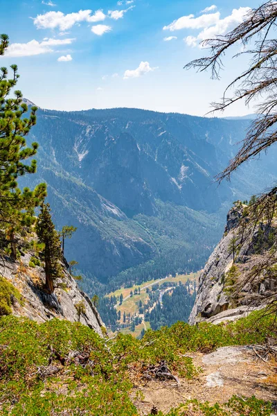 Yosemitský Národní Park Les Turistické Stezky — Stock fotografie