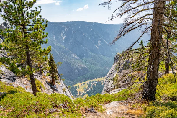 Yosemite National Park Forest Hiking Trails — Stock Photo, Image