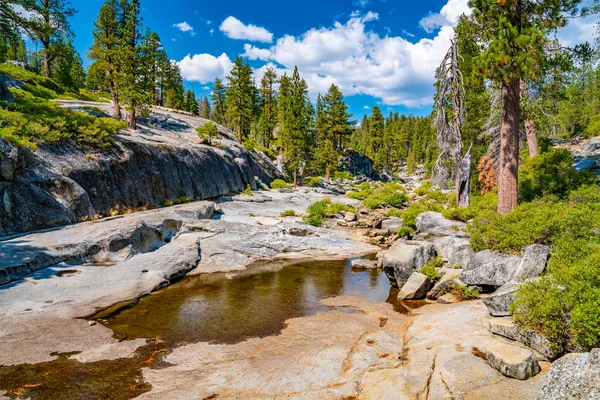 Schöner Yosemite Nationalpark Wald — Stockfoto