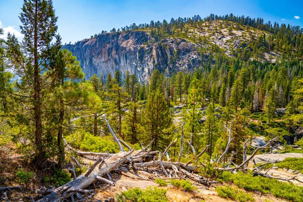 Schöner Yosemite Nationalpark Wald — Stockfoto