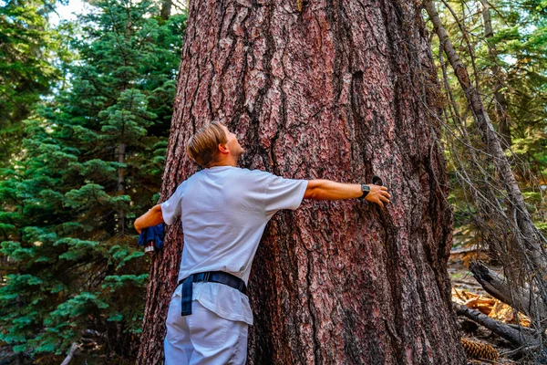 Mladý Muž Turistika Národním Parku Yosemite Putování Údolím Vodopád Polovina — Stock fotografie