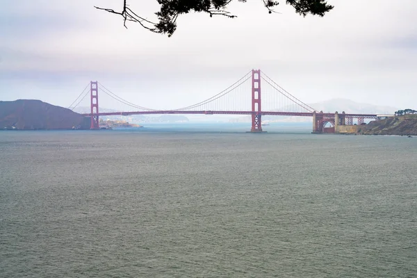 Парк Золотые Ворота Сан Франциско Вид Парк Моста Золотые Ворота — стоковое фото
