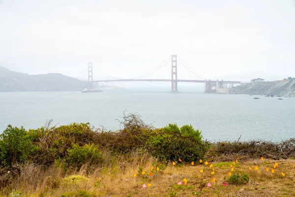 Golden Gate Park San Francisco Beautiful View Park Golden Gate — Stock Photo, Image
