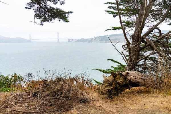 Parque Golden Gate San Francisco Hermosa Vista Del Parque Cerca —  Fotos de Stock