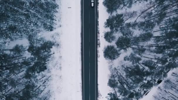 Letecký Pohled Silnici Lesy Zimě Přírodní Zimní Krajina Vzduchu Pohled — Stock video