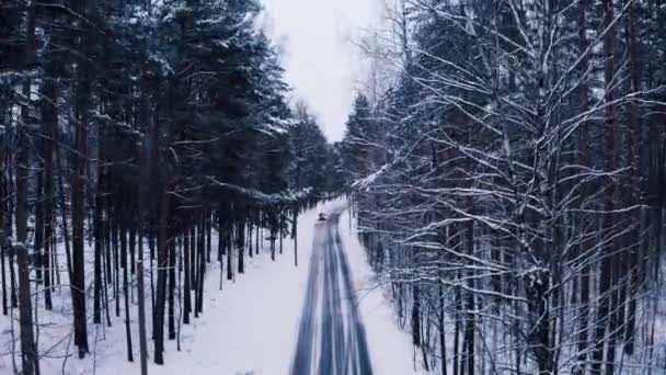 Luftaufnahme Der Straße Und Des Waldes Winter Natürliche Winterlandschaft Aus — Stockvideo