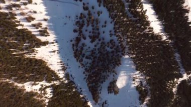 Avusturya'da karla kaplı güçlü dağların havadan görünümü. Alps.