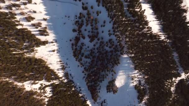 Widok Lotu Ptaka Potężne Góry Pokryte Śniegiem Austrii Alpy — Wideo stockowe