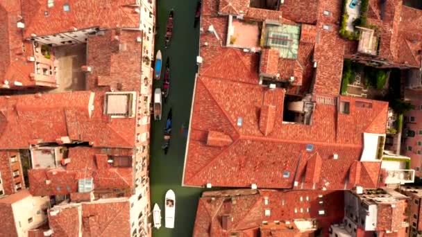 ヴェネツィア イタリアの狭い運河とオレンジ色の屋根の航空写真 上から居心地の良いイタリアの都市 — ストック動画