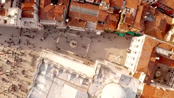 Vista Aérea Plaza San Marco Venecia Italia — Vídeos de Stock