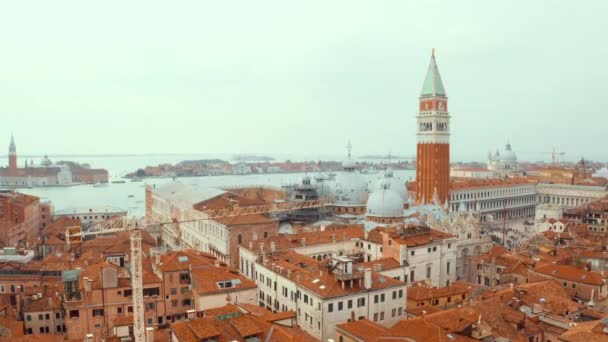 Luftaufnahme Vom Morgen Über Dem Markusplatz Venedig Italien Schöne Luftaufnahme — Stockvideo