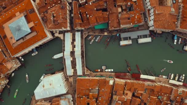 이탈리아 베니스의 일몰로 유명한 그란데 운하와 유명한 리알토 다리의 파노라마 — 비디오