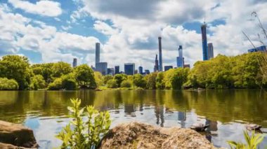 Beautiful time lapse view of the Central Park in New York City by the lake with turtles and Manhattan skyscrapers in the background.