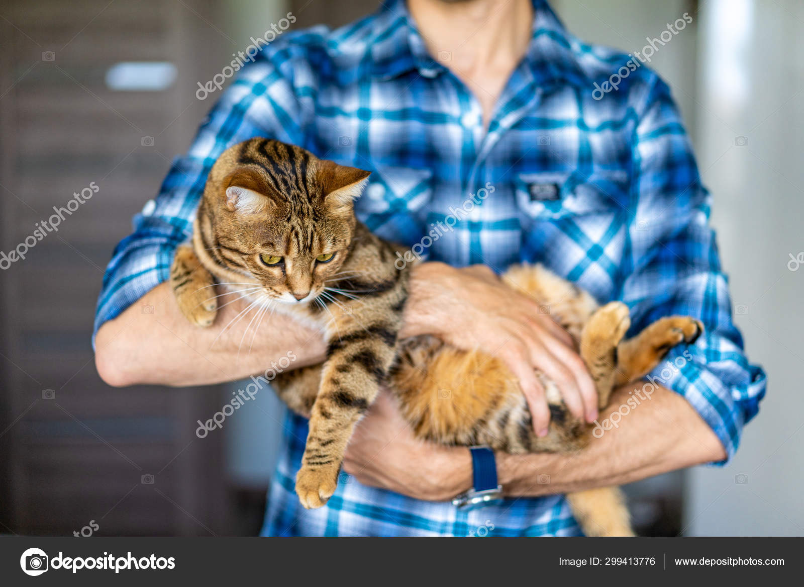 Man animal face Stock Photos, Royalty Free Man animal face Images | Depositphotos Man animal face Stock Photos, Royalty Free Man animal face Images | Depositphotos