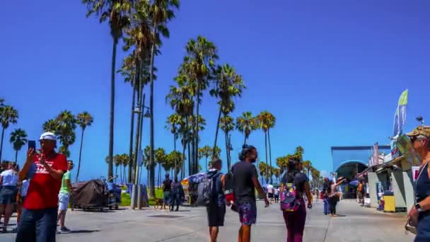 Prachtig Uitzicht Het Strand Van Venetië Los Angeles Usa — Stockvideo