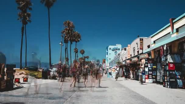 Bela Vista Lapso Tempo Praia Veneza Los Angeles Eua — Vídeo de Stock