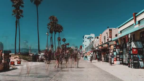 Bela Vista Lapso Tempo Praia Veneza Los Angeles Eua — Vídeo de Stock