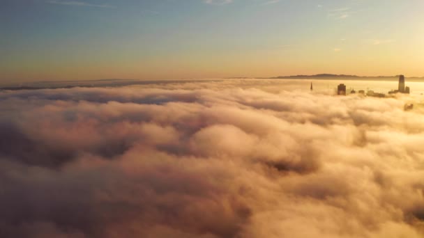 サンフランシスコでの朝の日の出の間に雲の上を上昇し 飛行し 高層ビルは雲の上に上昇します 美しいカリフォルニア サンフランシスコ — ストック動画