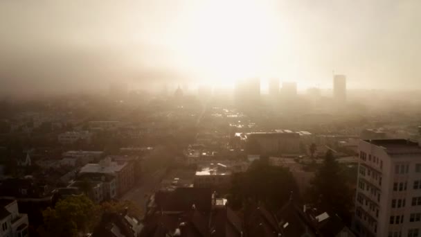 Aerial Shot World Famous Painted Ladies Located Alamo Square San — Stock Video