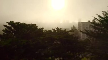 Aerial shot of the world famous Painted Ladies located in Alamo Square, San Francisco during beautiful cloudy morning with an epic sunrise.