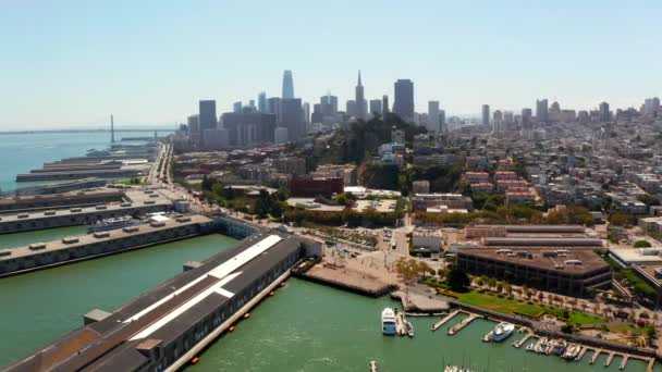 遊園地 桟橋でアシカとサンフランシスコのピア の美しい空撮 — ストック動画