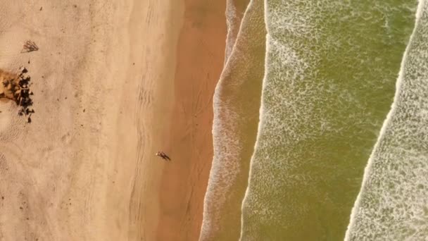 해변에 파도가 아름다운 태평양 해안선의 — 비디오